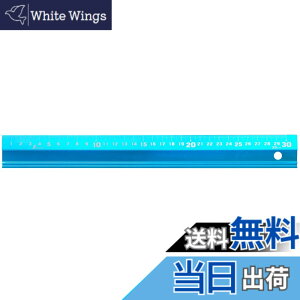 �y���������z�V��������(Shinwa Sokutei) �A���~���� �A���� �F�F�V���C�j���O�u���[�A�T�C�Y�F30cm