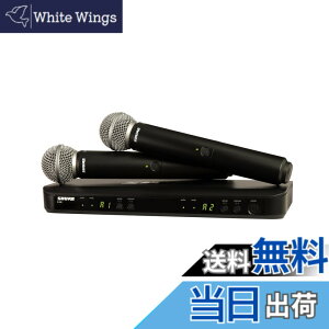 �y���������zSHURE �V���A �F�F�m�[�}���A�T�C�Y�F�f���A���V�X�e��