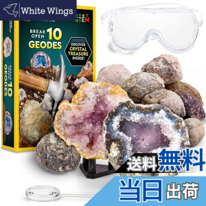 �y���������zNATIONAL GEOGRAPHIC Break Open Geodes�T�C�G���X�L�b�g �| �S�[�O���A�ڍׂȊw�K�K�C�h�A�f�B�X�v���C�X�^���h�t�� - ������N��̍z���w��n���w���D�ƂɍœK��STEM�T�C�G���X�M�t�g