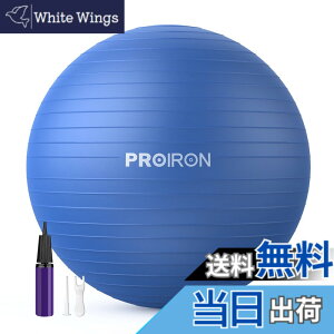 �y���������zPROIRON �o�����X�{�[�� �΂�񂷂ځ[�� 55cm 65cm 75cm (6�F) ���� �W���{�[�� �t�B�b�g�l�X�{�[�� �A���`�o�[�X�g �ω׏d300kg �n���h�|���v�t �F�F�u���[�A�T�C�Y�F68-75cm/ L