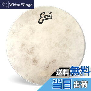 �y���������zEVANS �G���@���X �h�����w�b�h `56 Calftone Tom �y�������K�i�z �T�C�Y�F12