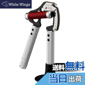 �y���������zGD IRON GRIP �n���h�O���b�v ���̓g���[�j���O ���ג����ƃO���b�v���������\ �F�FSilver�A�T�C�Y�F1�� (x 1)