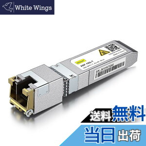 �y���������z10Gtek 10GBase-T SFP+���W���[��, 10G-T, 10G�J�b�p�[, RJ-45 SFP+ CAT.6a, �ő�30m, ���g�����V�[�o �F�Fx1�A�T�C�Y�F1����