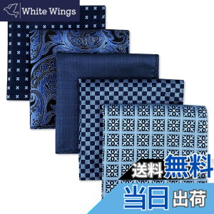 �y���������z(�V�b���N�X�ƃE�C���O) Shlax&Wing 5�{�����Y�|�P�b�g�`�[�t�Z�b�g�r�W�l�X���܃V���N �F�FSet11�A�T�C�Y�FSet11