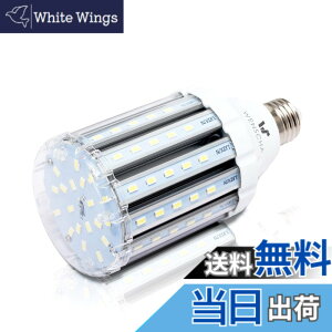 �y���������zlow watt led light bulbs �F�F25W CW�A�T�C�Y�F25W
