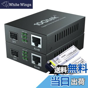 �y���������z10Gtek �M�K�r�b�g �����f�B�A�R���o�[�^�[ �F�F��Γ���A�T�C�Y�FSMF,20km(Bidi)