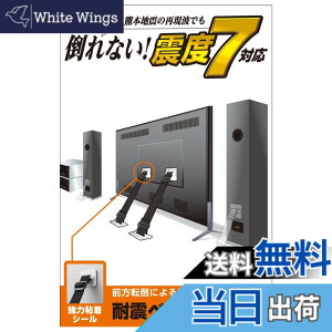 �y���������z�G���R�� �ϐk�x���g �e���r�p 75�C���`�܂őΉ� ���͔S���V�[���^�C�v 2�{�� TS-002N2 �F�F�z���C�g�A�T�C�Y�F��