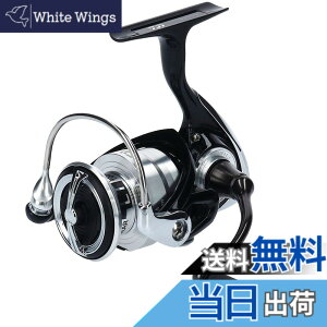 �y���������z�_�C��(DAIWA) �X�s�j���O���[�� 19 ���O�U LT (2019���f��) �F�F�u���b�N�A�T�C�Y�F2500