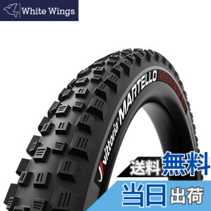 �y���������z�r�b�g���A(Vittoria) �}���e�b�� G2.0[Martello G2.0] �F�F�u���b�N/�O���[�A�T�C�Y�F27.5x2.6(65-584)