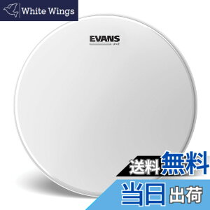 �y���������zEVANS �G���@���X �h�����w�b�h UV2 CTD �T�C�Y�F16