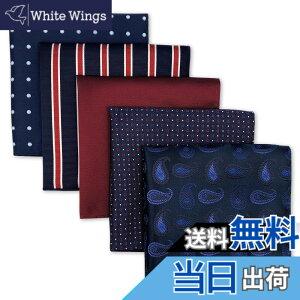 �y���������z(�V�b���N�X�ƃE�C���O) Shlax&Wing 5�{�����Y�|�P�b�g�`�[�t�Z�b�g�r�W�l�X���܃V���N �F�FHSET2-48�A�T�C�Y�FSet48
