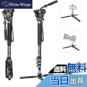 �y���������zINNOREL VM70 Series �_��t�� ���m�|�b�h �X�^���h �A���~ ��r �r�f�I �B�e�p ���O�r �ώ� �F�FVM70K�Z�b�g�A�T�C�Y�FL