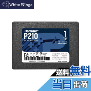 �y���������zPatriot P210 Parent Solid State Drive SSD �T�C�Y�F1TB