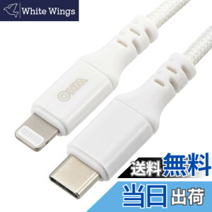 �y���������z�I�[���d�@ AudioComm �f���ɋ������C�g�j���O�P�[�u�� USB TypeC/Lightning �F�F���A�T�C�Y�F1m