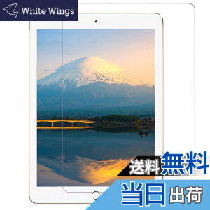 �y���������z�y �u���[���C�g�J�b�g�ziPad 9.7 �K���X�t�B���� �F�F�����A�T�C�Y�FiPad mini4/5
