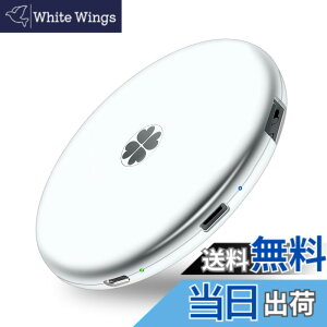�y���������zApple�F�� (MFI�擾) �t���b�V���h���C�u iPhone USB������ iOS USB�������R�l�N�^�t�� iPhone X XS MAX iPad iPod touch�ȂǑΉ� �e�ʕs������ �F�F�V���o�[�O���[�A�T�C�Y�FSSD 1TB