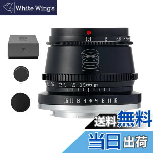 �y���������zTTArtisan 35mm F1.4 �蓮�œ_�Œ背���Y Sony�J�����ɑΉ� �\�j�[E�}�E���g 6�Q7�� �P�œ_�����Y SONY NEX-5 NEX-C3 NEX-5N NEX-7 NEX-F3 NEX-5R NEX-3N NEX-5T A3000 A5000 A6000 A3500 A5100 A6300 A6500 APS-C�~���[