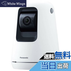 �y���������z�p�i�\�j�b�N WWA�Ή� �����J���� SECURITY_CAMERA �F�F�z���C�g�A�T�C�Y�F1�� (x 1)