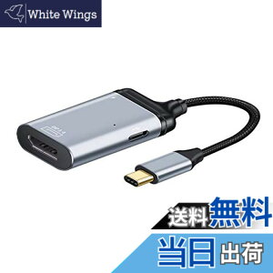 �y���������zChenyang USB-C Type C DisplayPort���j�^�[�R���o�[�^�A�_�v�^4K 2K 60Hz���XPD�d���|�[�g �F�FDP