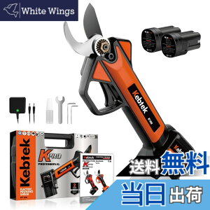 �y���������z�y�y��880g�E���{���t�b�f�n�zKebtek �d������o�T�~ 16.8V �R�[�h���X �[�d������΂��� 2500mAh���`�E���d�r2�t�� �d���}�؂��� �y0.4�b�����ؒf�z�v�� ������ ���| ���� �ʎ��� 