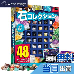 �y���������zXXTOYS �z�ΕW�{48�� �i�V���i���W�I�O���t�B�b�N�V�R�z�� ��΂������� ��ΕW�{ �N���X�}�X �v���[���g ���b�N���~�l���� �R���N�V���� �W�F���X�g�[�� �n���Ȋw�L�b�g 48�Z