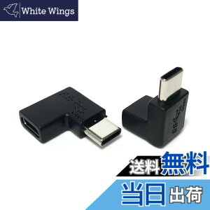 �y���������zAccess �y ���E�㉺ L�^ 10Gbps 2�Z�b�g �zUSB-C ���X to USB-C �I�X �����]�� �ϊ��A�_�v�^ + �}�C�N���t�@�C�o�[�N���X�t 10Gbps USB3.2 Gen2 �����]�� �ϊ��R�l�N�^ Type C ���X - Type C �I�X 