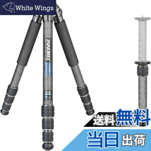 �y���������zINNOREL CT-�V���[�Y �J�����O�r �J�[�{���O�r ��჌�t�O�r �F�F�O�r�̂݁A�T�C�Y�FCT85C