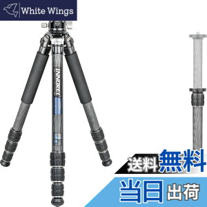 �y���������zINNOREL CT-�V���[�Y �J�����O�r �J�[�{���O�r ��჌�t�O�r �F�F�O�r�Ɖ_��L�b�g�A�T�C�Y�FCT75C
