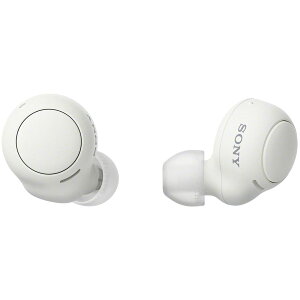 �y���������z�\�j�[(SONY) ���S���C�����X�C���z�� WF-C500/WF-C510 :/�����x�ʘb�i��/IPX4�h�H���\ �F�F�z���C�g�A�T�C�Y�F�����^