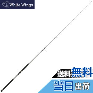 �y���������z�A�u�K���V�A (Abu Garcia) SaltyStagePrototype (�\���e�B�[�X�e�[�W�v���g�^�C�v) �W�M���O �e�� �F�F�u���b�N�A�T�C�Y�F�X�s�j���O:6.3-1��:�ő�180g����