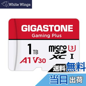 �y���������zGIGASTONE �}�C�N��sd�J�[�h 1TB-2-1 Core Group �F�F1TB Gaming Plus 1���Z�b�g�A�T�C�Y�F1TB