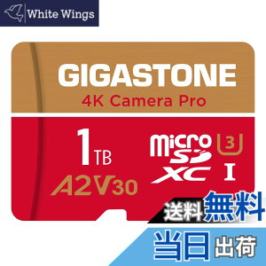 �y���������zGIGASTONE �}�C�N��sd�J�[�h 1TB-4-1 Core Group �F�F1TB Camera Pro 1���Z�b�g�A�T�C�Y�FPro Series