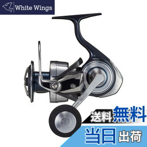 �y���������z�_�C��(DAIWA) �X�s�j���O���[�� 21�Z���e�[�g SW 5000~6000�T�C�Y �W�M���O/�L���X�e�B���O/�V���A�W�M���O (2021���f��) �F�F��, �O���[�A�T�C�Y�F6000