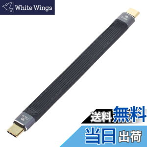 �y���������zCablecc USB-C Extension Cable Flat Slim FPC Data Cable for Laptop & Phone 13cm �F�FBlack Type C Male to Male 10Gbps