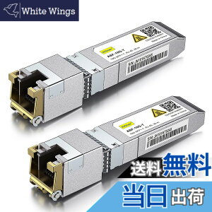 �y���������z10Gtek 10GBase-T SFP+���W���[��, 10G-T, 10G�J�b�p�[, RJ-45 SFP+ CAT.6a, �ő�30m, ���g�����V�[�o �F�Fx2�A�T�C�Y�F2����