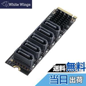 �y���������zCablecc NGFF �L�[ B+M ���� SATA 3.0 6Gbps 5�|�[�g �A�_�v�^�[ �R���o�[�^�[ �|�[�g JMB575 2280 �F�FBlack M-key to 5 SATA