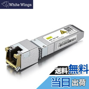 �y���������z10Gtek 10GBase-T SFP+���W���[��, 10G-T, 10G�J�b�p�[, RJ-45 SFP+ CAT.6a, �ő�30m, ���g�����V�[�o �F�Fx1�A�T�C�Y�F1����
