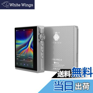 �y���������zHidizs AP80PRO-X�|�[�^�u��HiFi�~���[�W�b�N�v���[���[,�|�[�^�u��DAP�I�[�f�B�I �F�F�O���[
