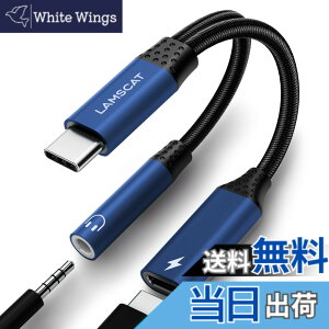 �y���������zLAMSCAT 2in1 �^�C�vC �C���z���ϊ� �A�_�v�^ PD 60W�}���[�d Type-C �C���z���W���b�N �[�d�A�_�v�^ ��҃P�[�u�� �[�d���Ȃ��� �ʘb ���ʒ��� �|�[�^�u�� iPad pro Google Pixel Xperia Samsung G