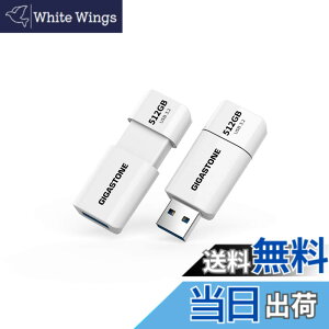 �y���������zUSB Flash drive Z40 Z60 16-64GB 1,2,5,10PK Group UG4 �F�F����A�T�C�Y�F512GB*2�Z�b�g