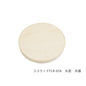 y300zRREbhFLR-05K ی^ W P[X300 1044000000600 t^̂݁i{̕ʔj