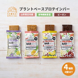 《砂糖 甘味料 香料 着色料 動物性原料 全て 不使用》 プラントベースプロテインバー 4個セット【 エナジーバー パワーバー たんぱく質 タンパク質 プロテインバー 低脂質 ナッツ チョコ チョコレート 人工甘味料不使用 詰め合わせ ビーガン ヴィーガン 】