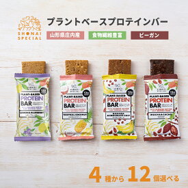 《砂糖 甘味料 香料 着色料 動物性原料 全て 不使用》プラントベースプロテインバー 4種の味から選べる12個 セット【 エナジーバー パワーバー たんぱく質 タンパク質 プロテインバー 低脂質 ナッツ チョコ チョコレート 人工甘味料不使用 詰め合わせ ビーガン ヴィーガン 】