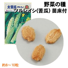 楽天市場 ツルレイシ 種の通販