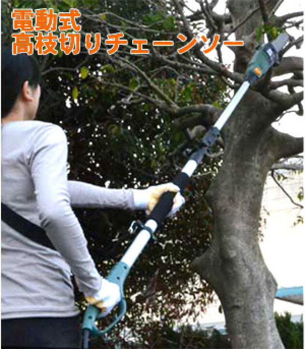 楽天市場】電動高枝切りチェーンソー(ET1208) : ウイッチ