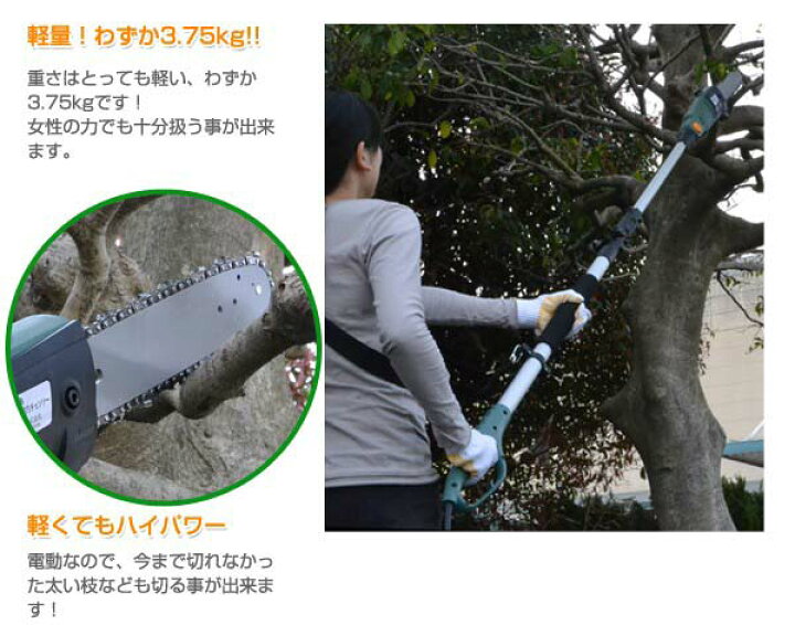 楽天市場】電動高枝切りチェーンソー(ET1208) : ウイッチ