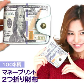 【送料無料】マネープリント2つ折り財布【100ドル柄】