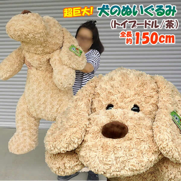 楽天市場 送料無料 全長150cmの超巨大 犬のぬいぐるみ トイプードル 茶 Plush Puppy 誕生日 プレゼント 贈り物 大型 ヌイグルミ イヌ いぬ コストコ ウイッチ