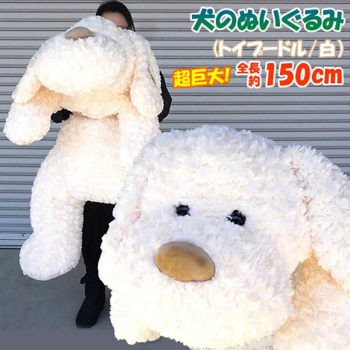 楽天市場 送料無料 全長150cmの超巨大 犬のぬいぐるみ トイプードル 白 Plush Puppy 誕生日 プレゼント 贈り物 大型 ヌイグルミ イヌ いぬ コストコ ウイッチ