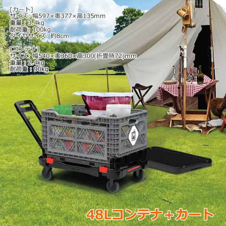 楽天市場】【送料無料】BIG ANT 折りたたみキャリー＋48Lコンテナ 
